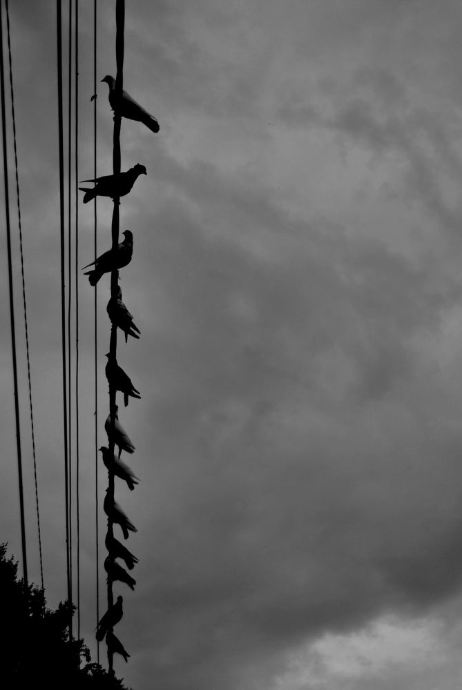 Фотография автора Армен