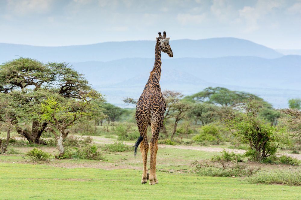 Photograph by slavka