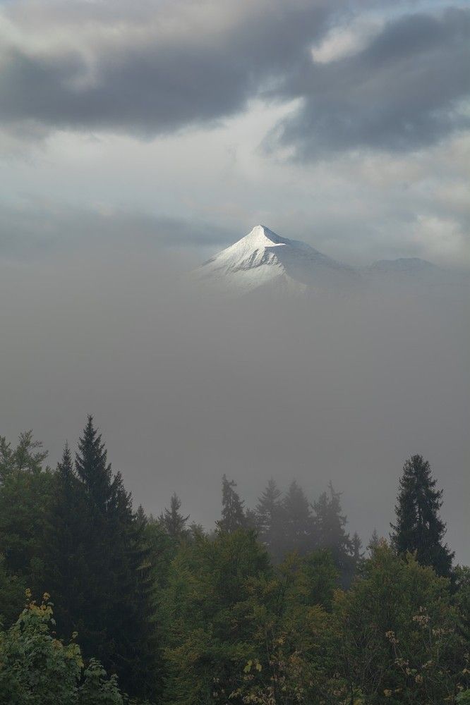 Soaring in the clouds