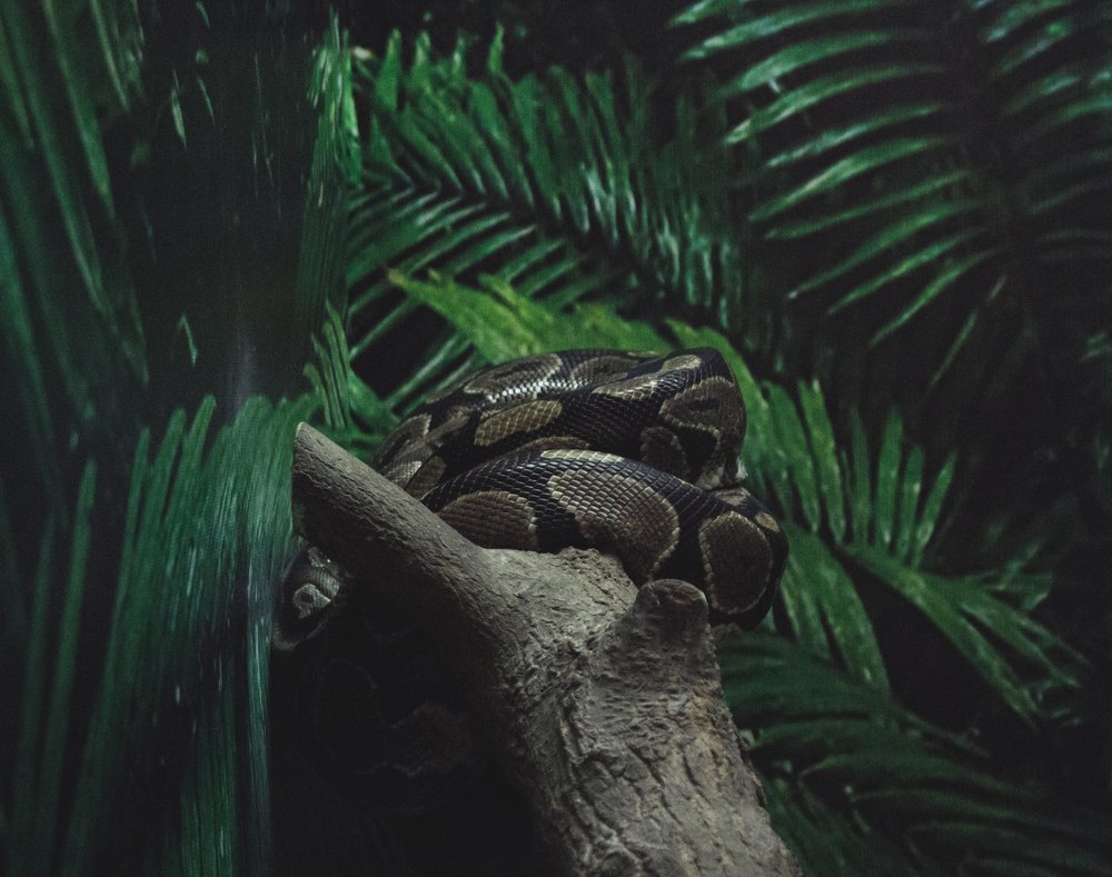 Жизнь в декорациях