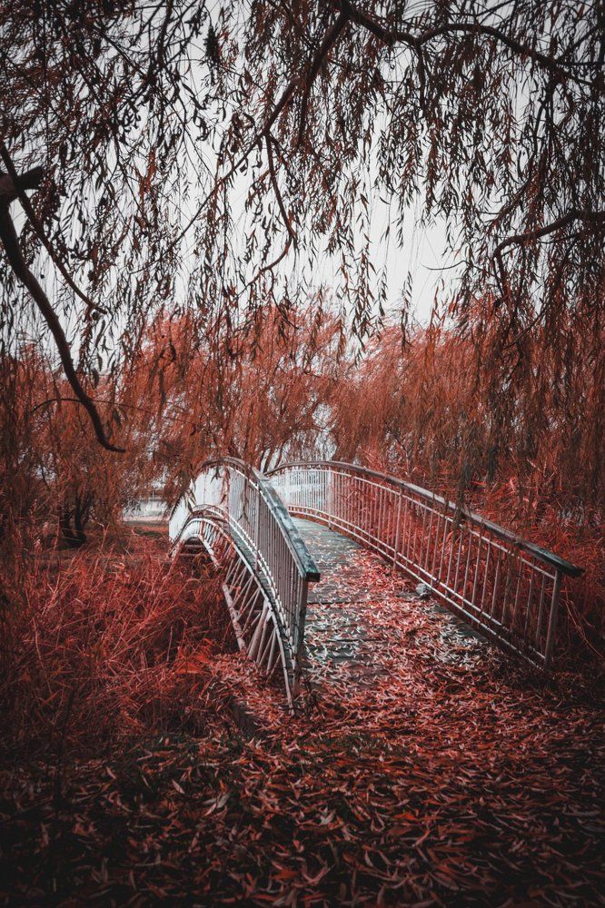 Осень в Таганроге