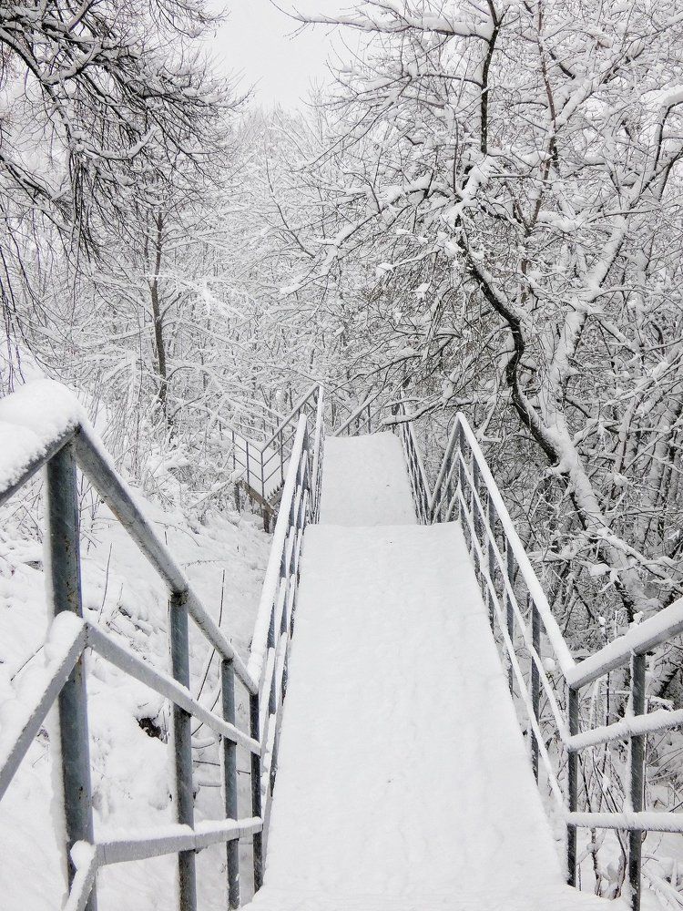 Лестница в зиму