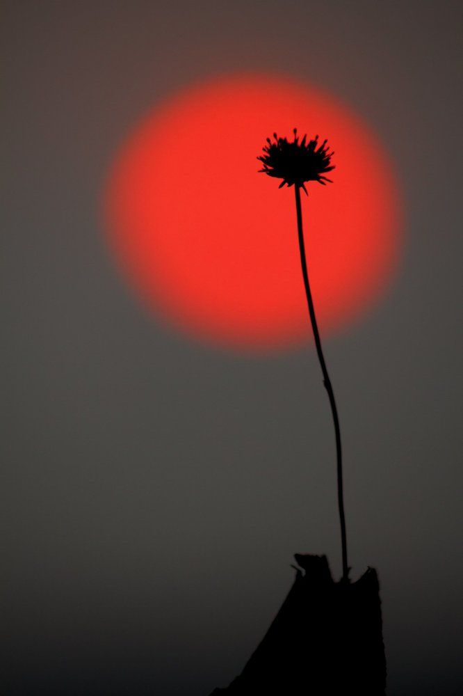 Красный и серый