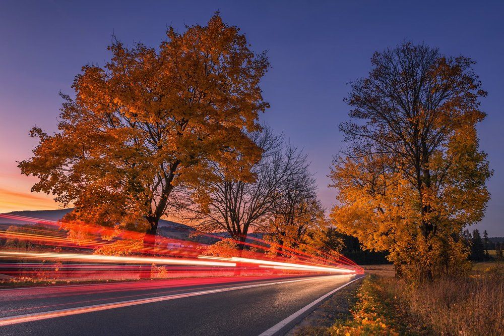 Autumn with road light trails