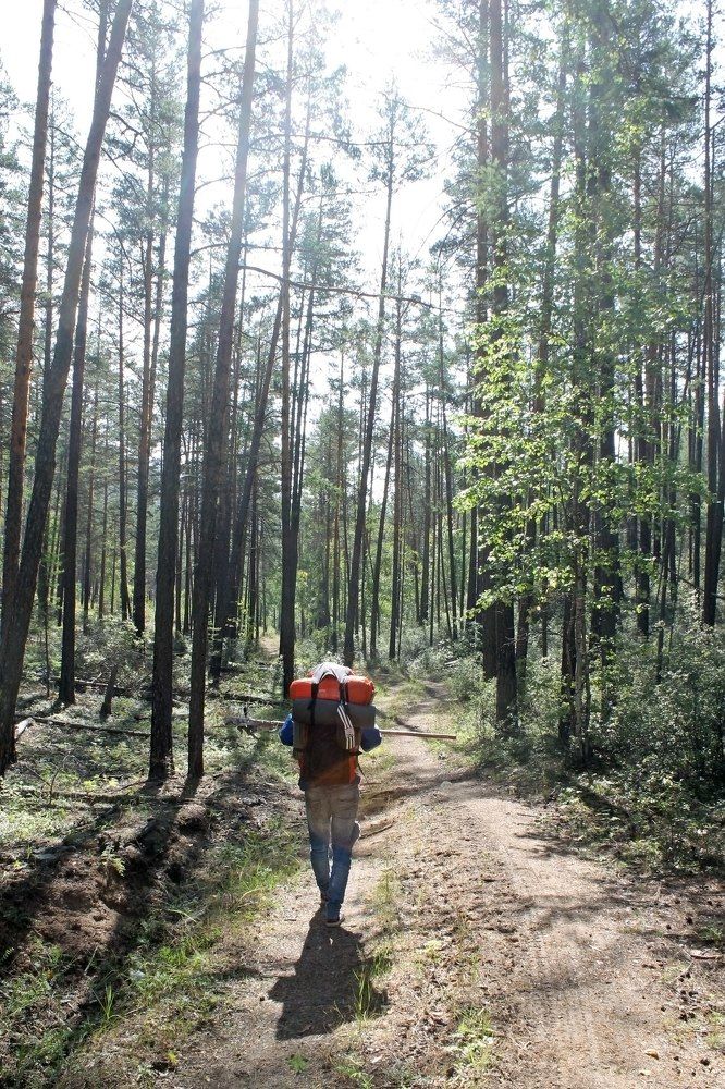 Photograph by Майя Хованская