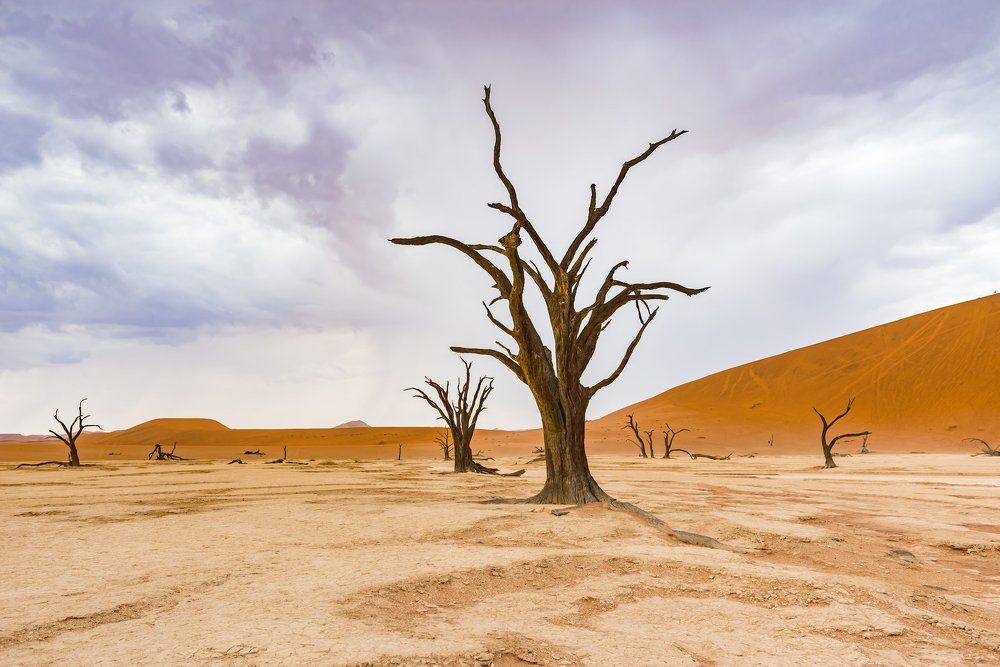 Photograph by slavka