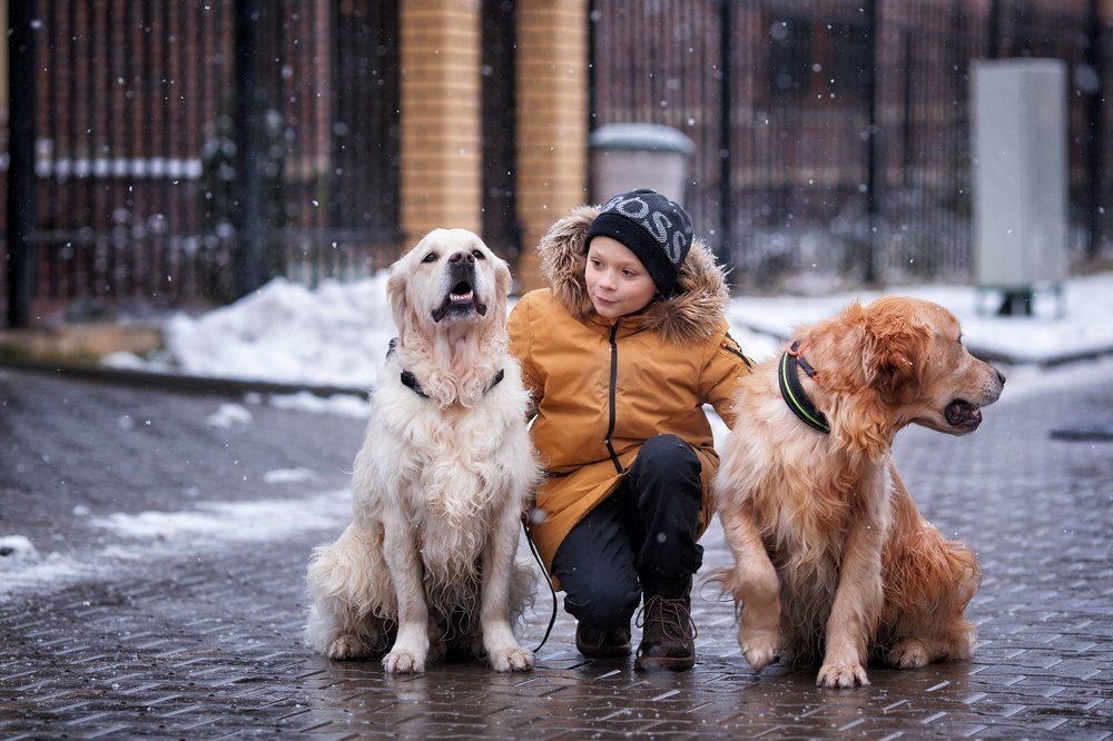 Photograph by Татьяна Воронова