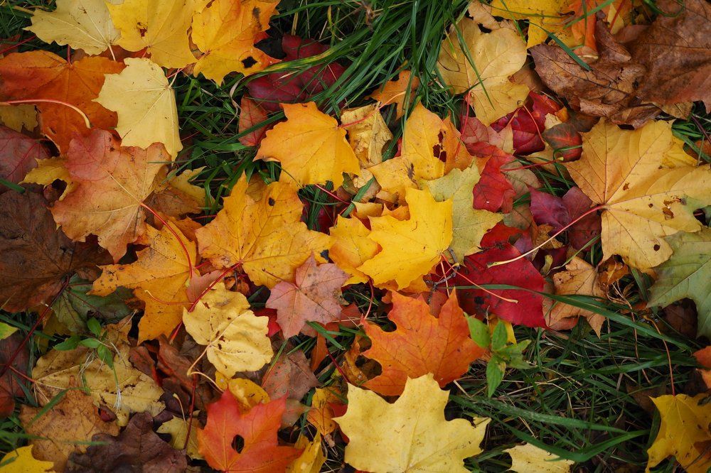 Photograph by Татьяна Воронова