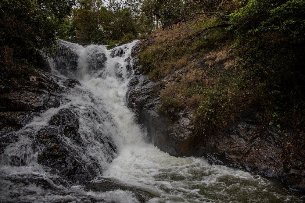 Photograph by Димтрий