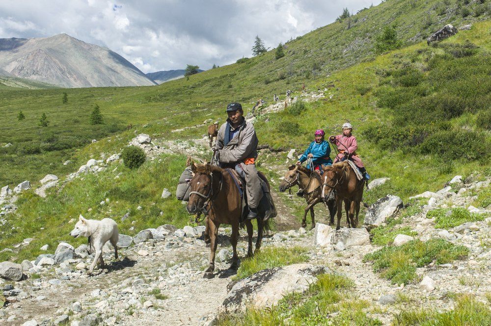 дороги Монголии