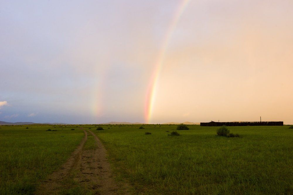 дороги Монголии