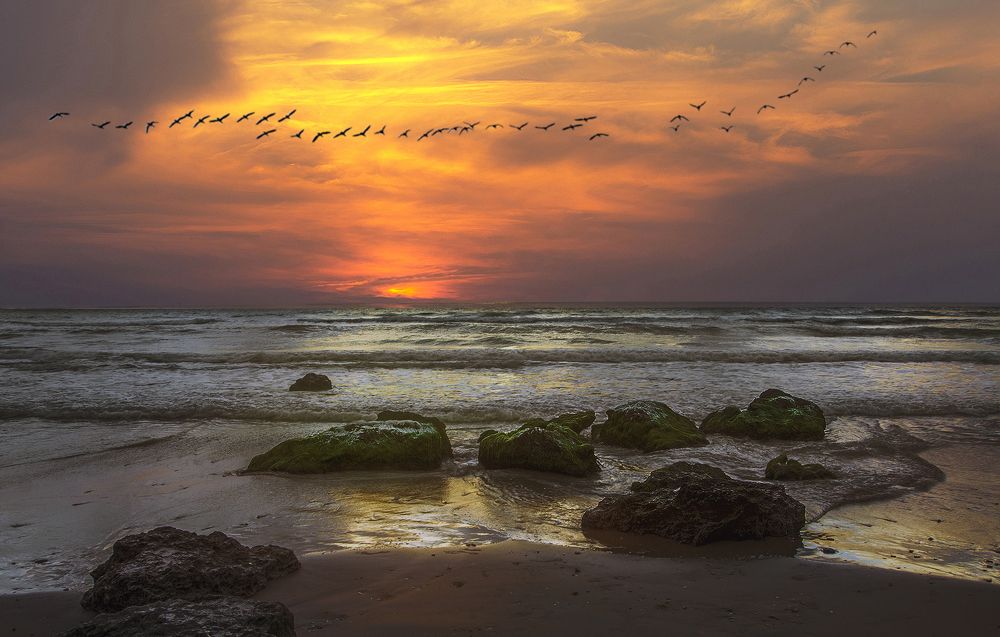 Photograph by Leonid Lan