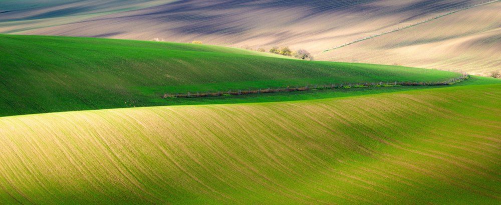 Холмы Моравии