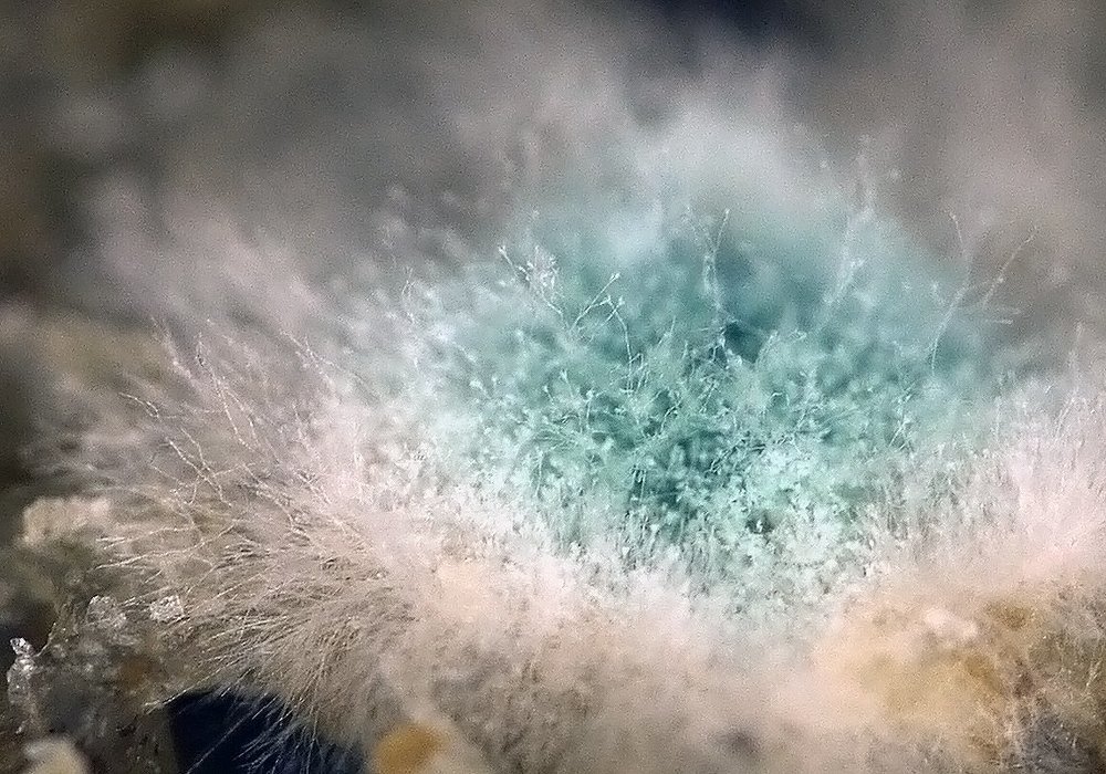 Photograph by Тим Талер