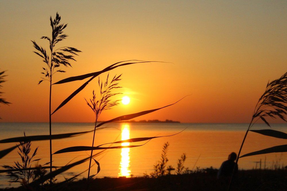 скоро солнце сядет