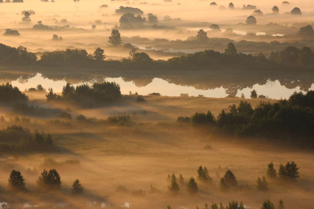 Среднерусская саванна