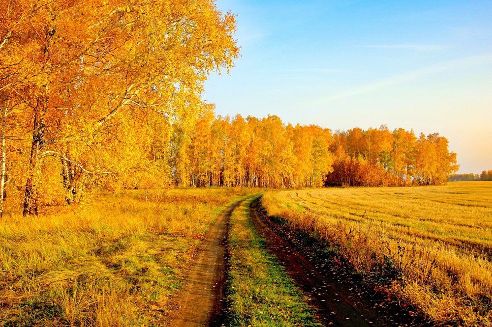 Осенний пейзаж