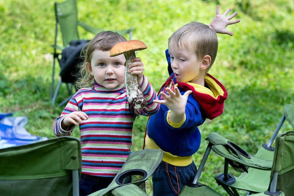 Во-о-от такой гриб нашли!
