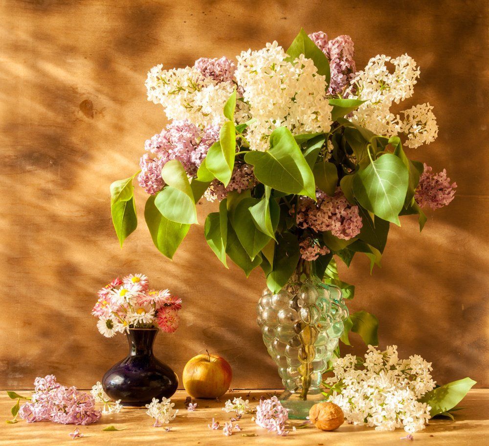 Сирень в лучах солнца