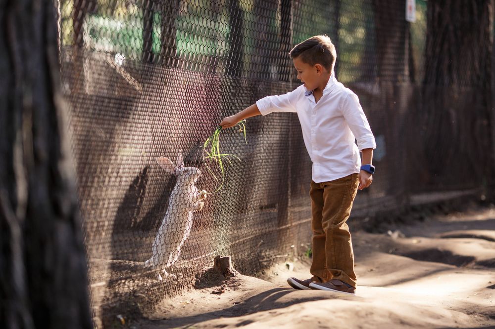 Photograph by Ольга Дворянкина