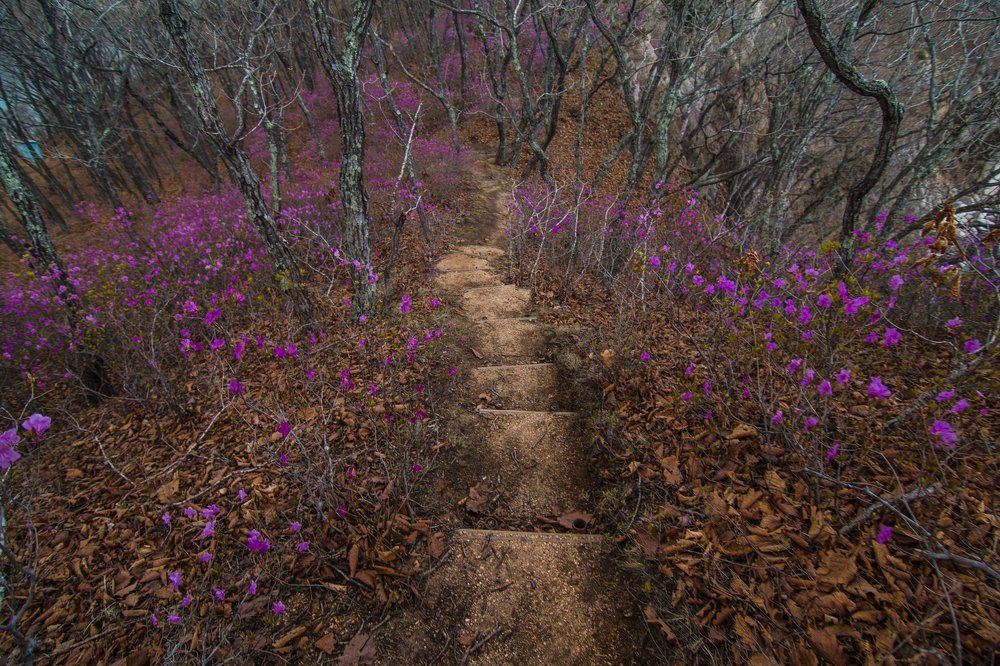 Photograph by Сигида Дмитрий