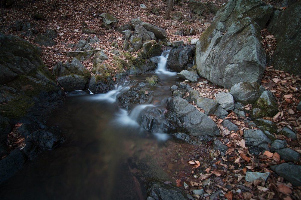 Photograph by Сигида Дмитрий