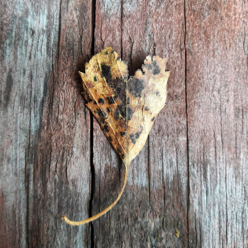 всё пройдёт