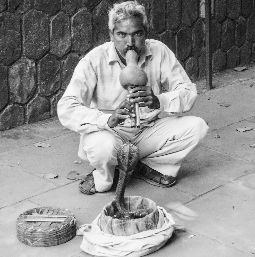 Закленатель змей