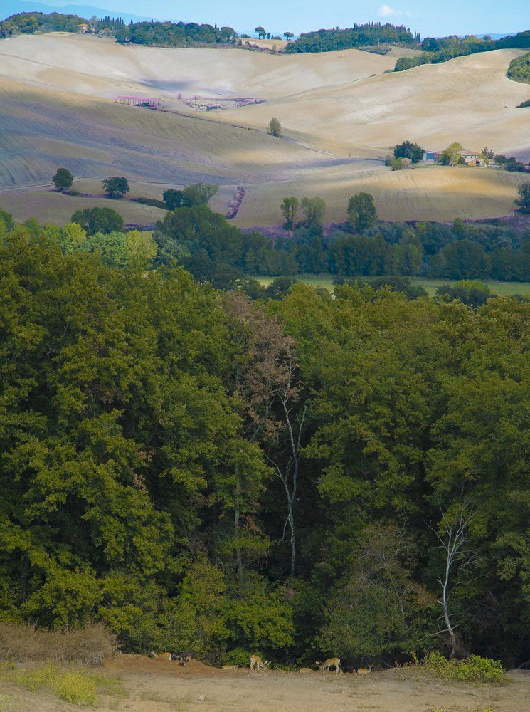 Краски осени