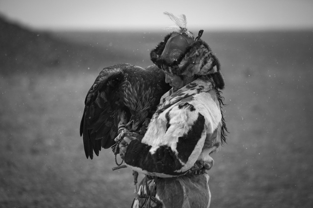 Photograph by Ирина Шевакова