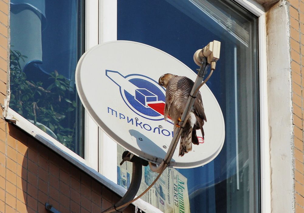 Что там нового в бренном мире?