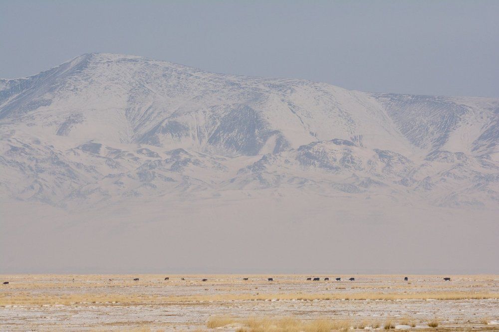 Парящий Алтай.