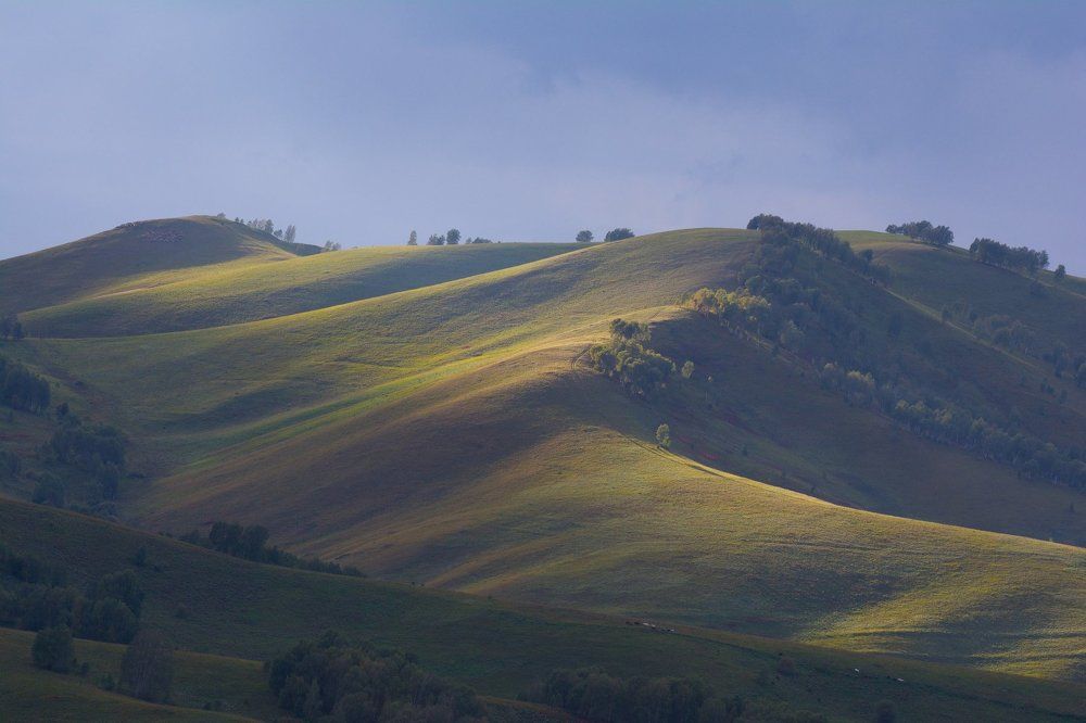В долине Катуни.