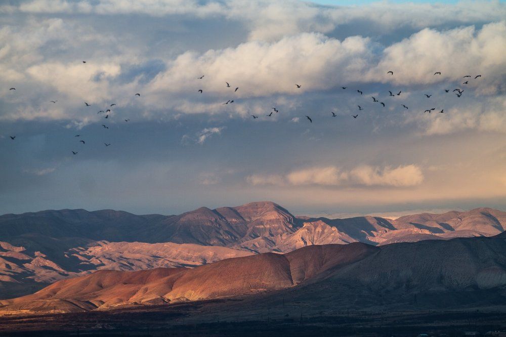 Горы Армении