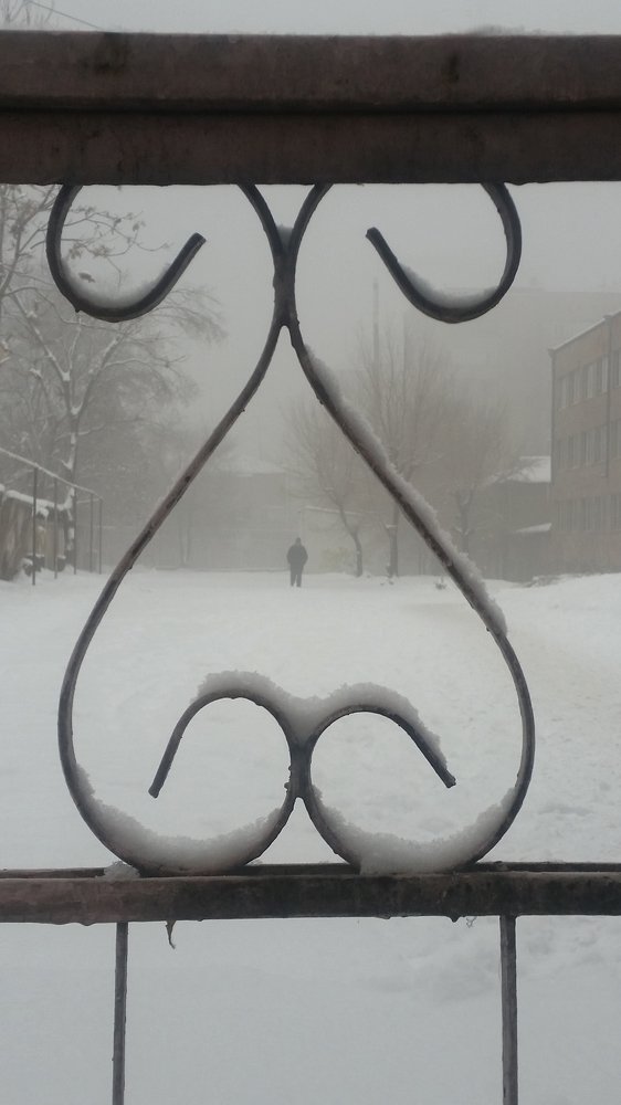 Photograph by Марина Рафаелян