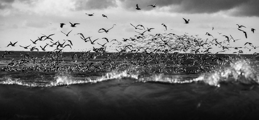 Движение - жизнь!