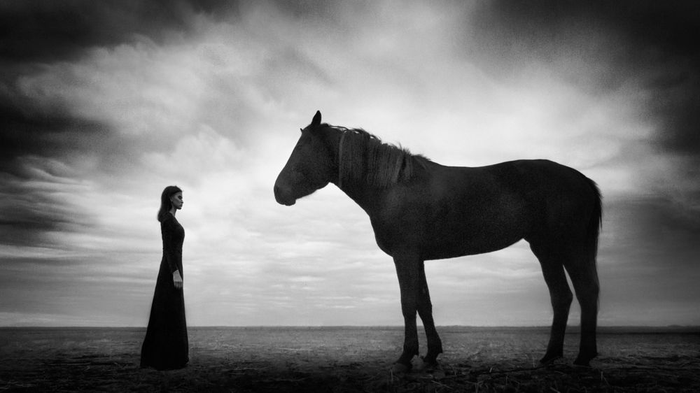 Photograph by Михаил Потапов