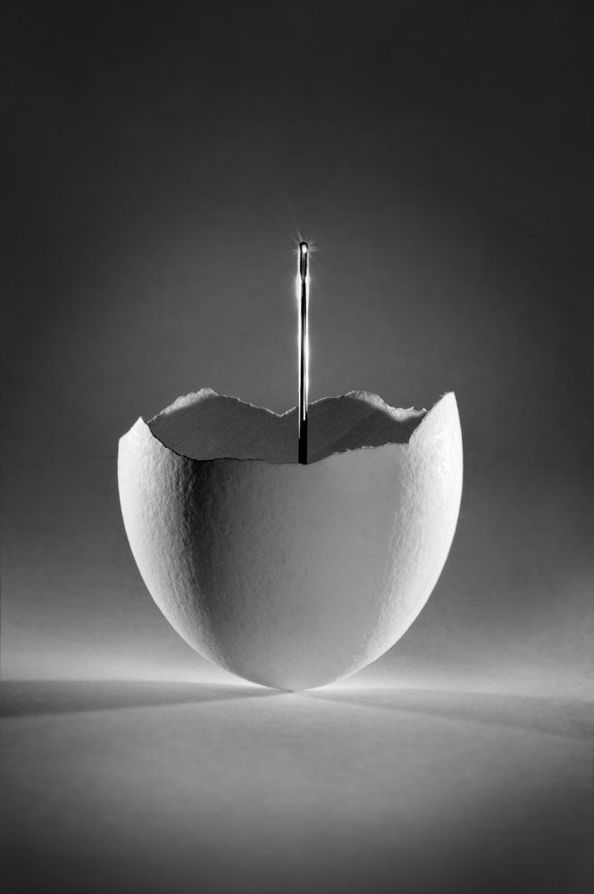 Жить или умереть...