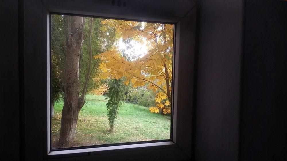 Окно в осень