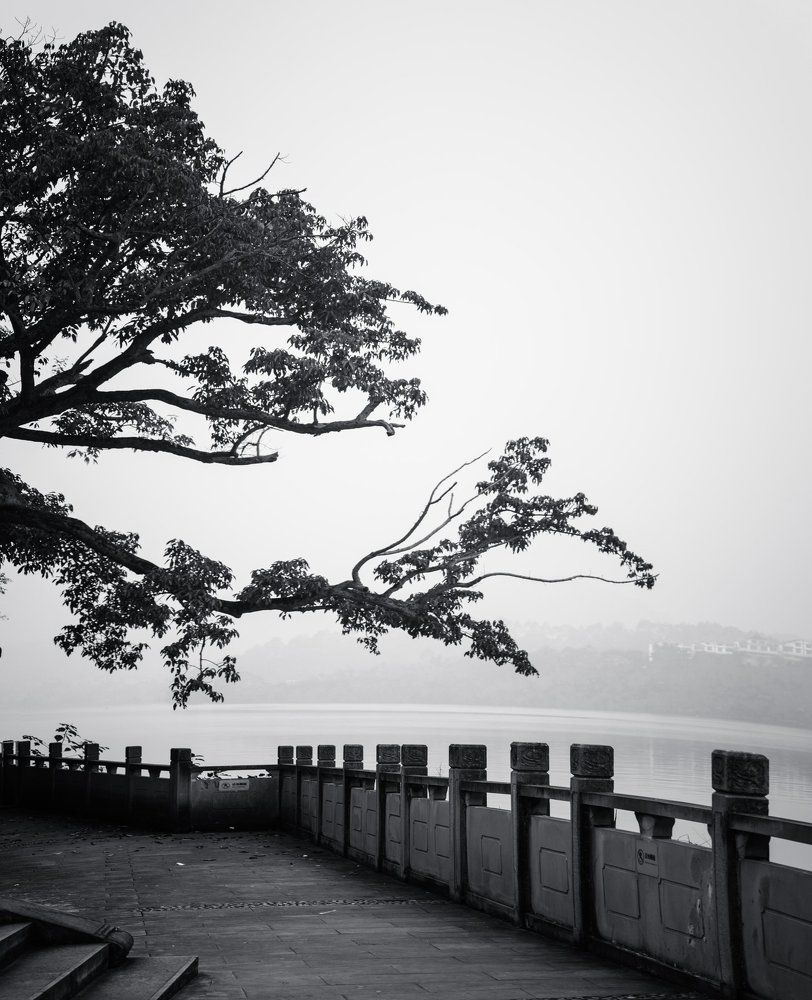 Берег Янцзы