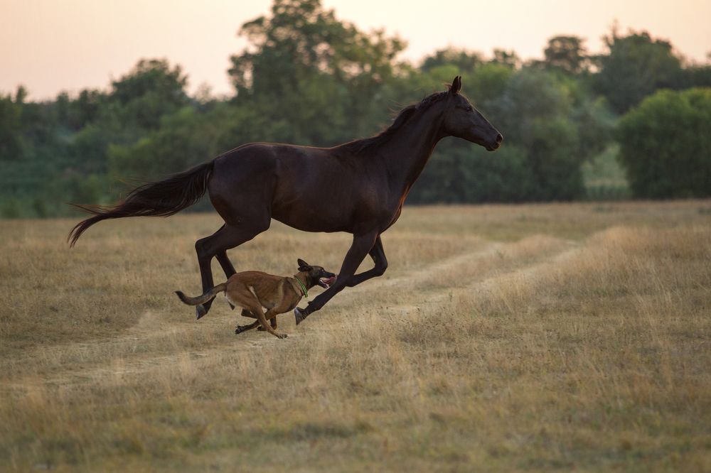 Вперед и вместе!!!