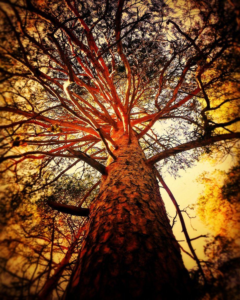 Photograph by Ирина Степанова