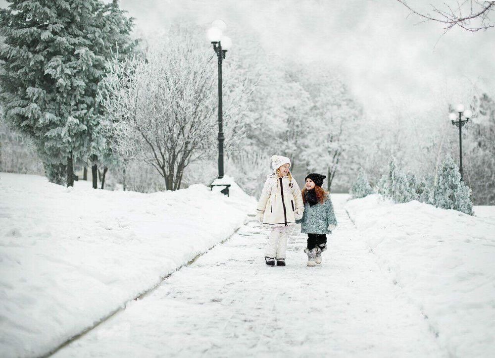 Зимняя прогулка