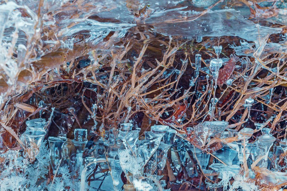 Мороз художник.