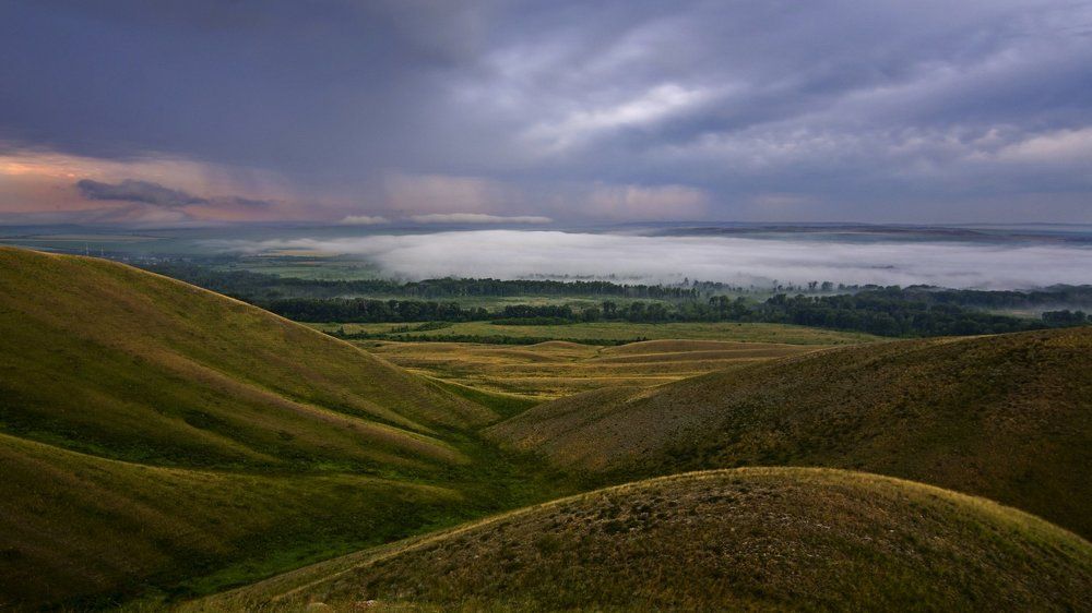 дождь и туман