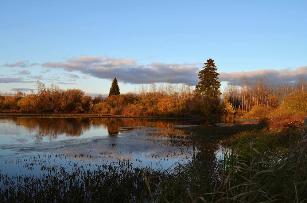 Золотые краски осени