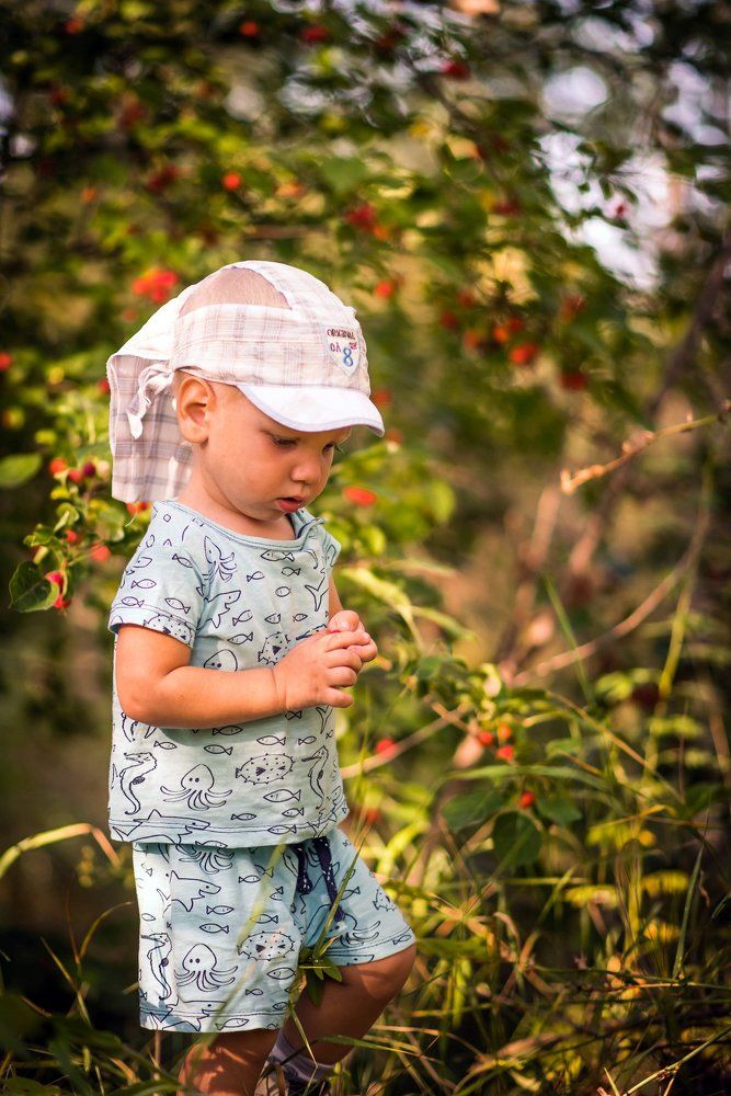 Лесные прогулки