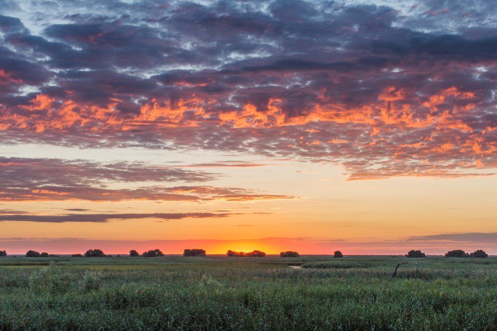 Рассвет в Астраханском заповеднике