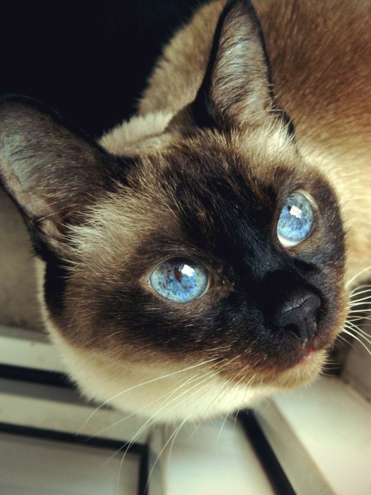 Космос в твоих глазах