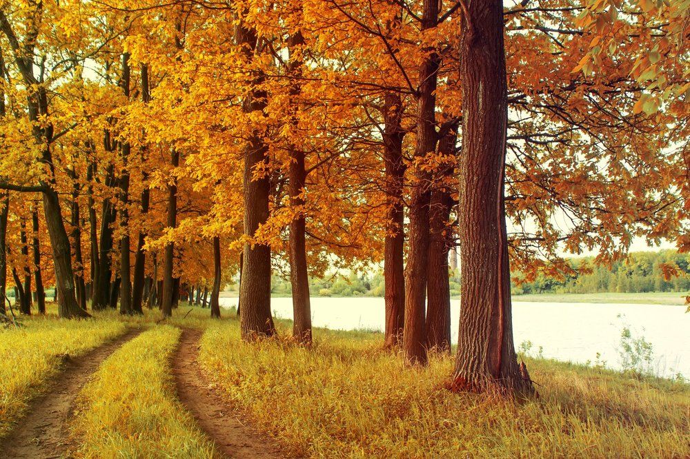 Осенними дорогами